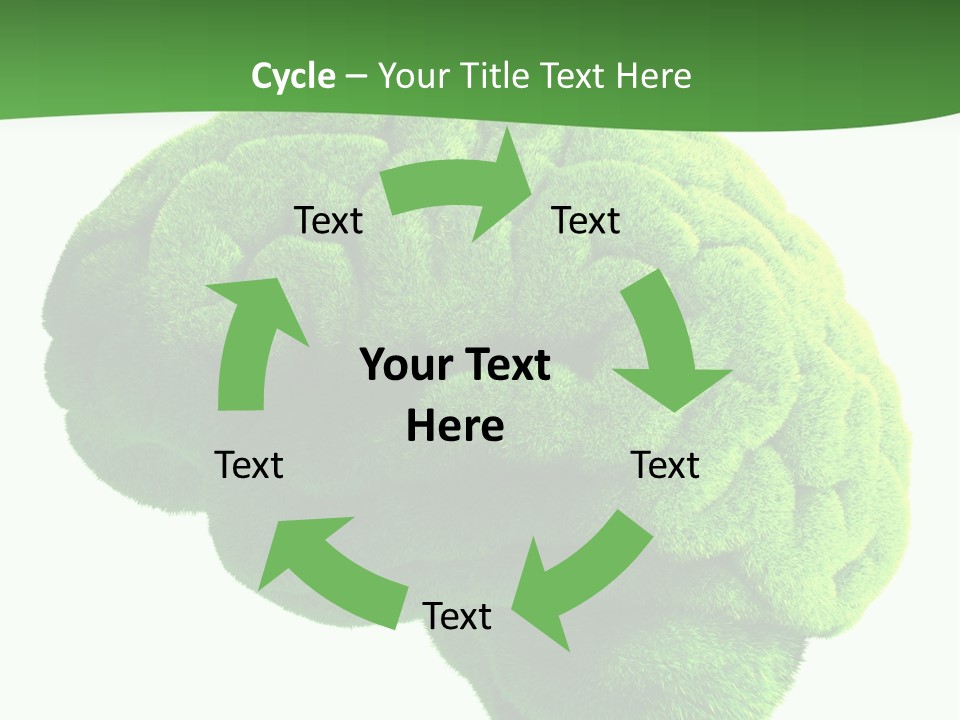 Wisdom White Growing PowerPoint Template