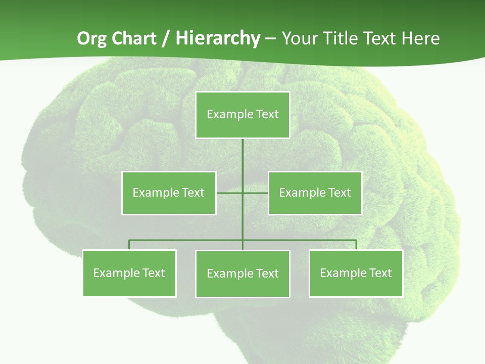 Wisdom White Growing PowerPoint Template