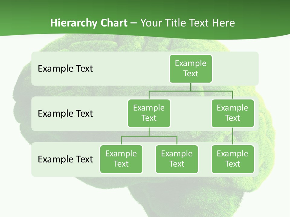 Wisdom White Growing PowerPoint Template