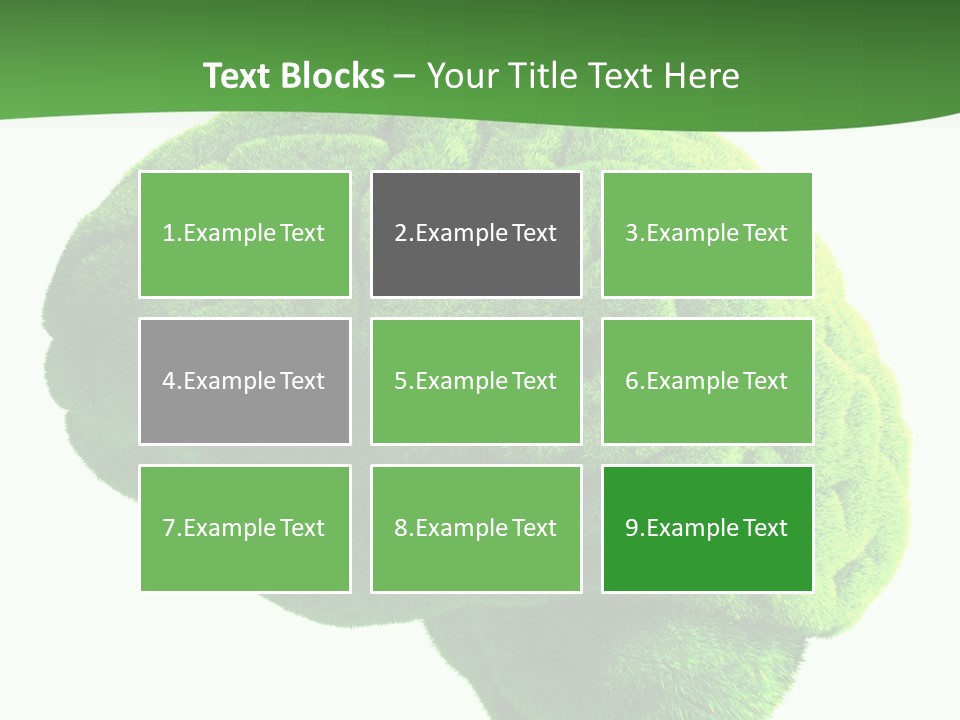 Wisdom White Growing PowerPoint Template