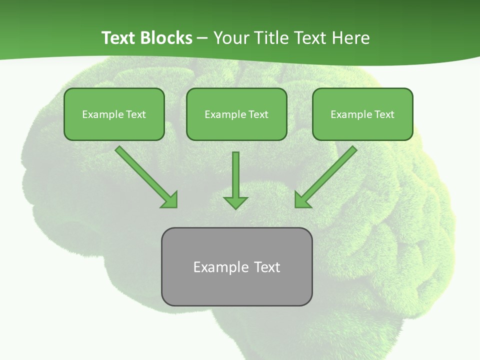 Wisdom White Growing PowerPoint Template