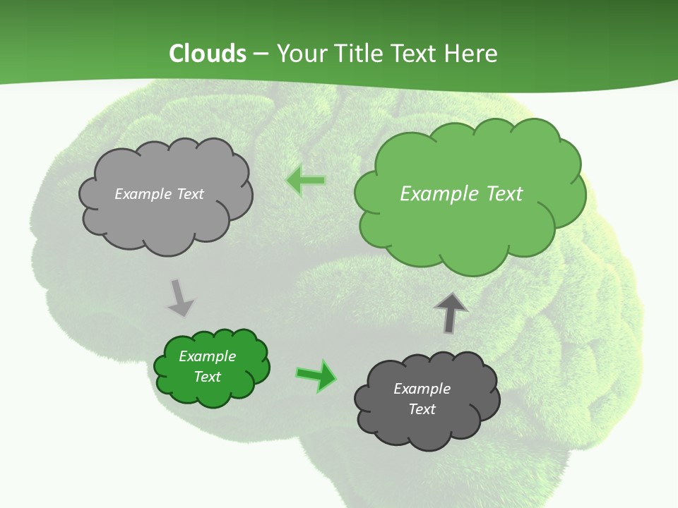 Wisdom White Growing PowerPoint Template