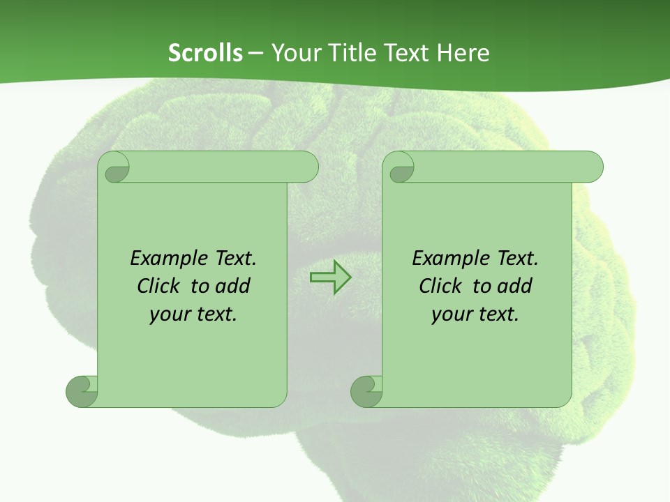 Wisdom White Growing PowerPoint Template