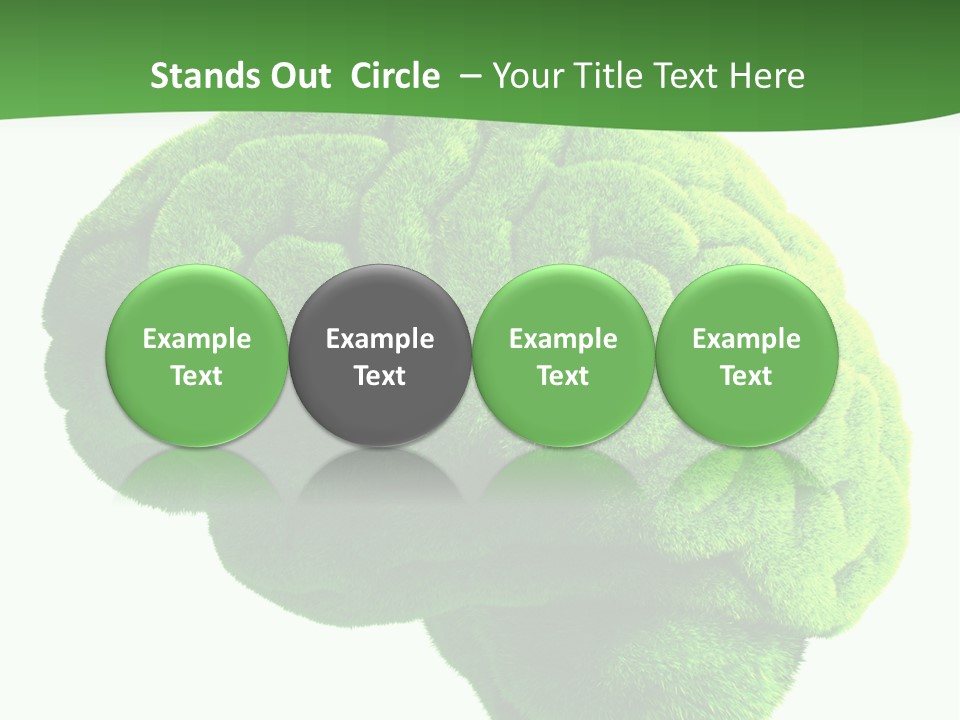Wisdom White Growing PowerPoint Template