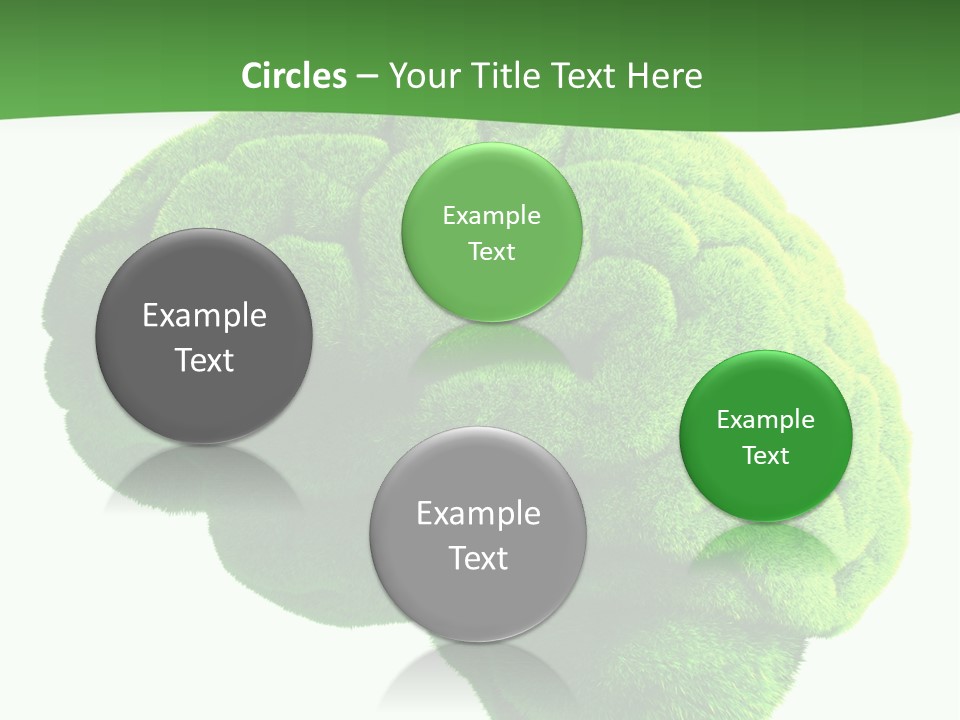 Wisdom White Growing PowerPoint Template