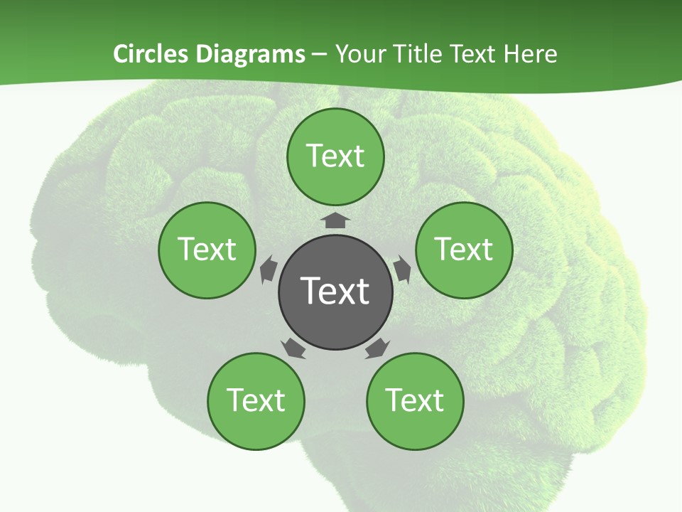 Wisdom White Growing PowerPoint Template