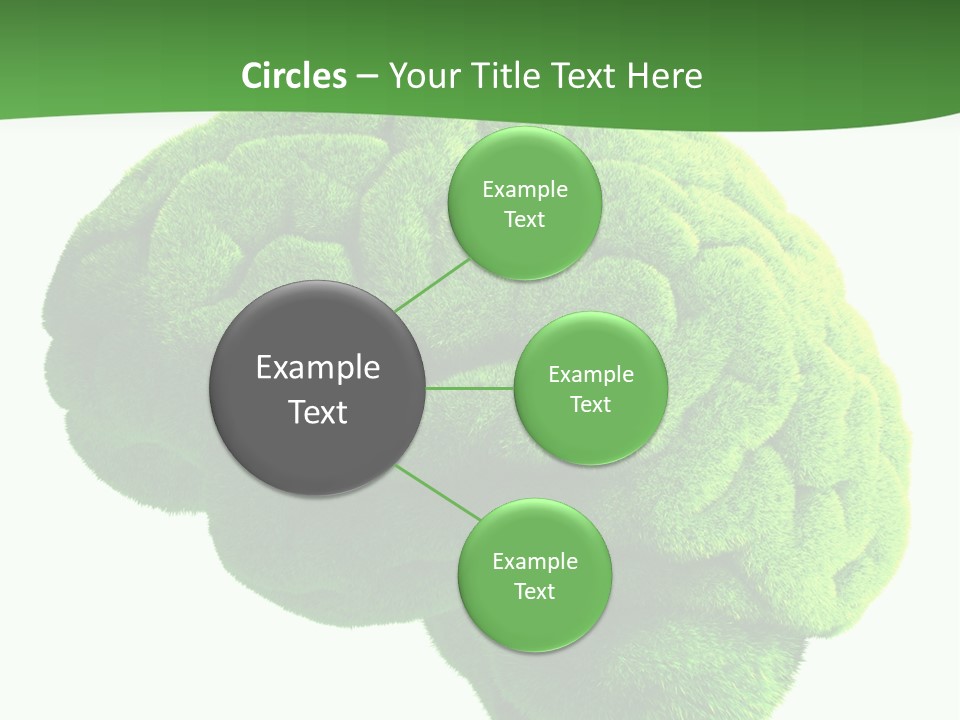 Wisdom White Growing PowerPoint Template