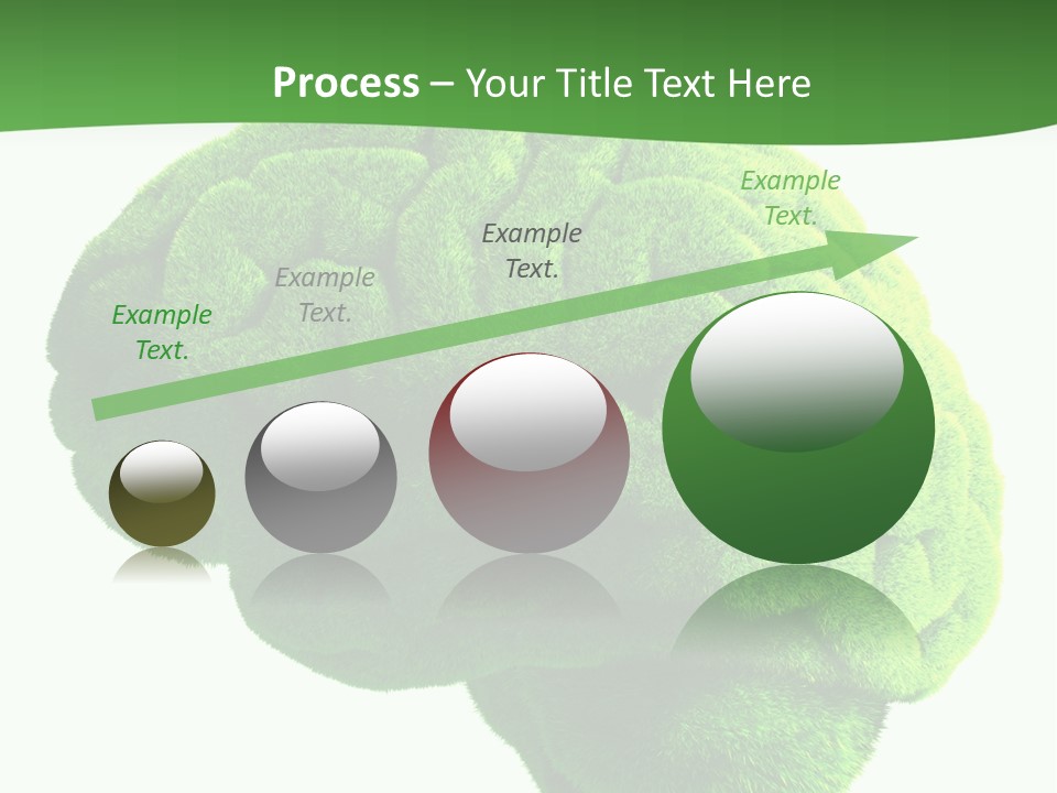 Wisdom White Growing PowerPoint Template