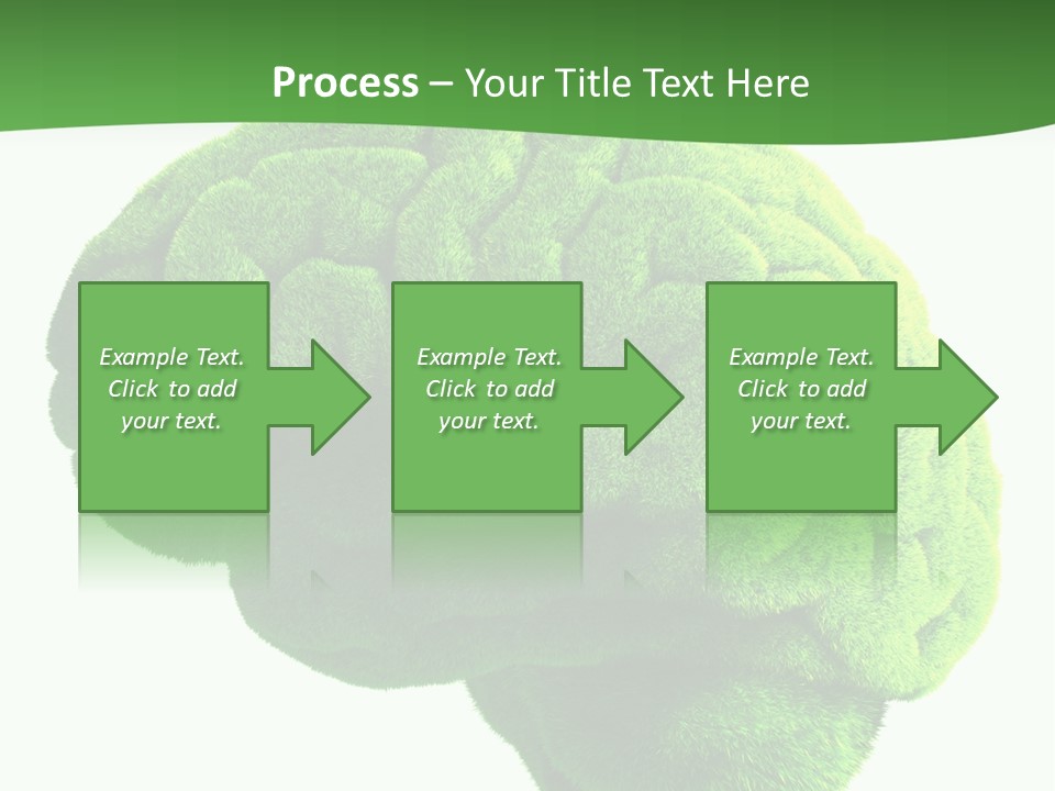 Wisdom White Growing PowerPoint Template