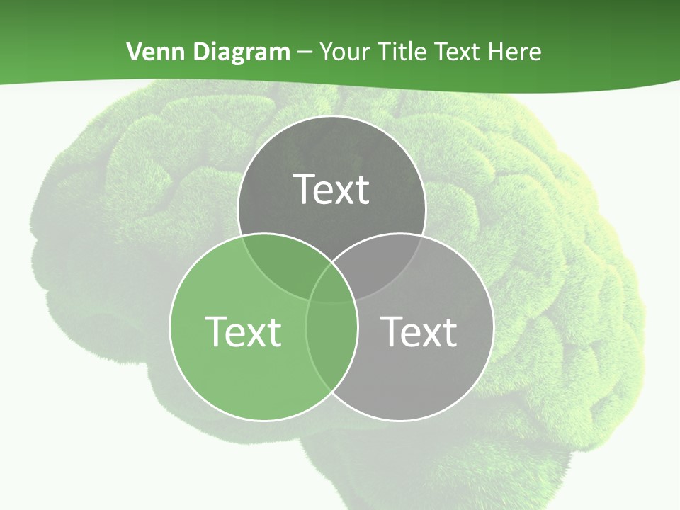 Wisdom White Growing PowerPoint Template
