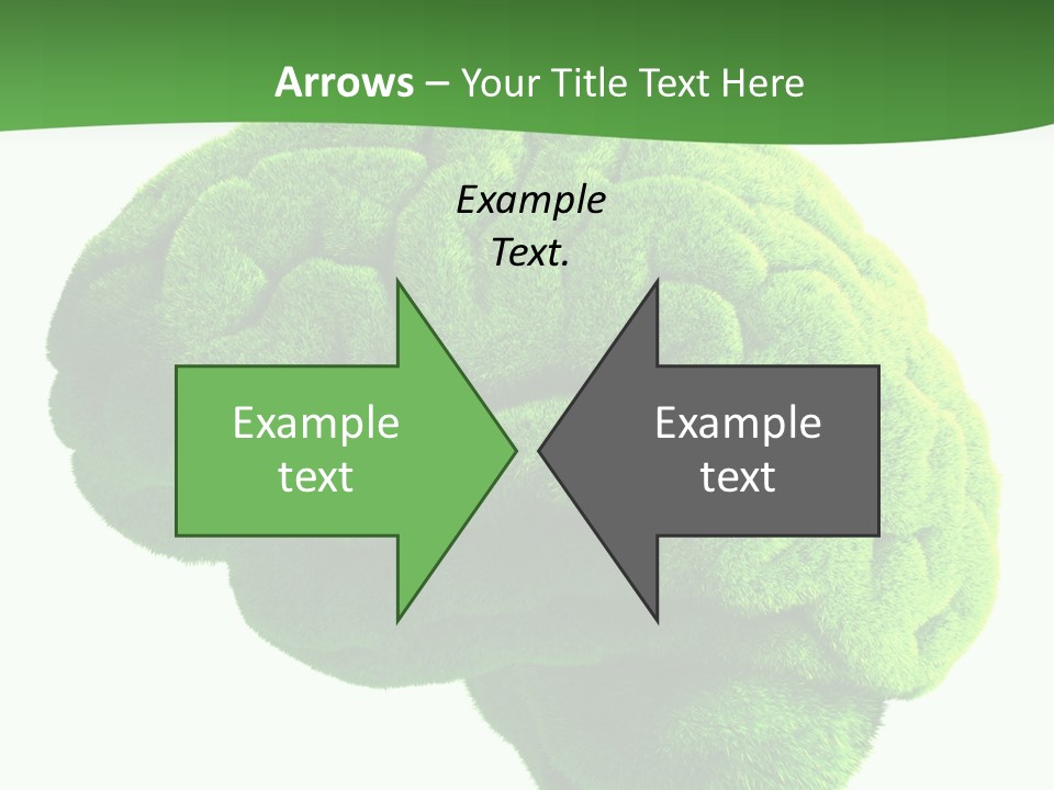 Wisdom White Growing PowerPoint Template