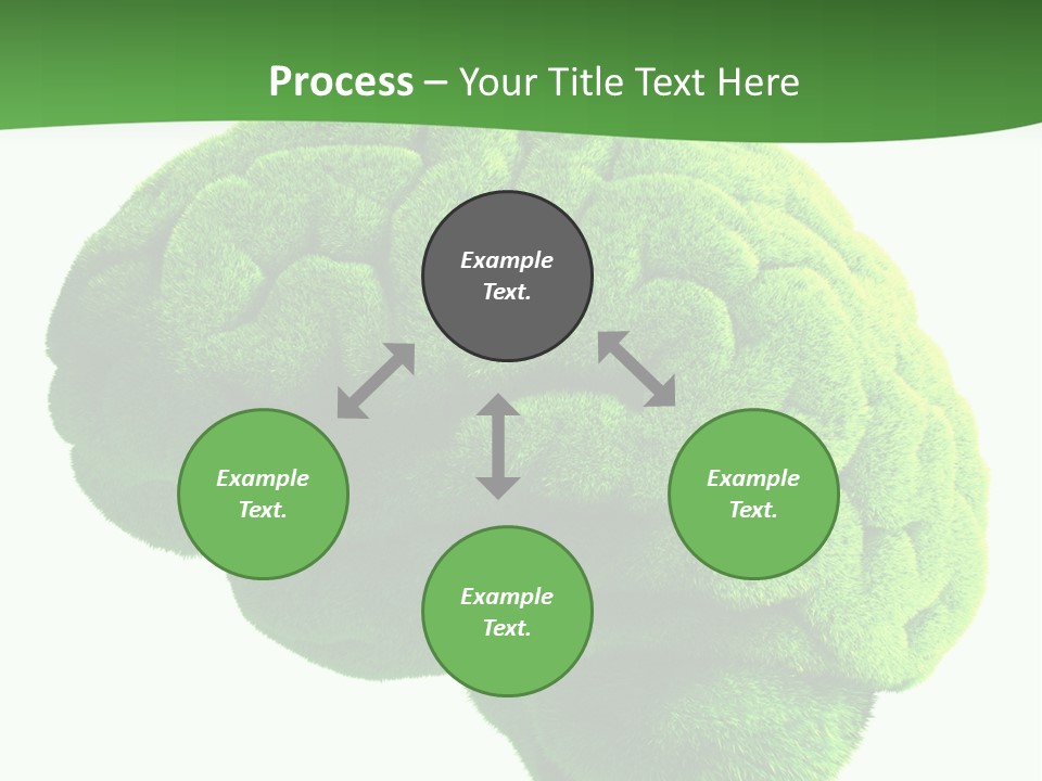 Wisdom White Growing PowerPoint Template