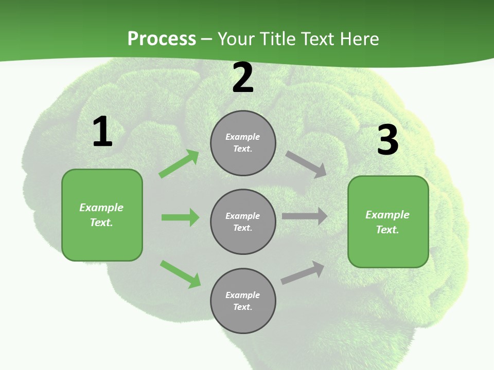 Wisdom White Growing PowerPoint Template