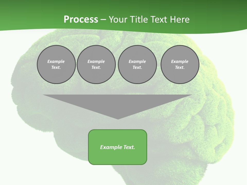 Wisdom White Growing PowerPoint Template