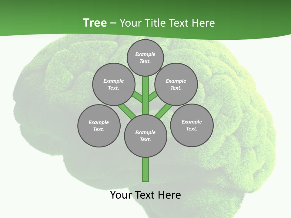 Wisdom White Growing PowerPoint Template