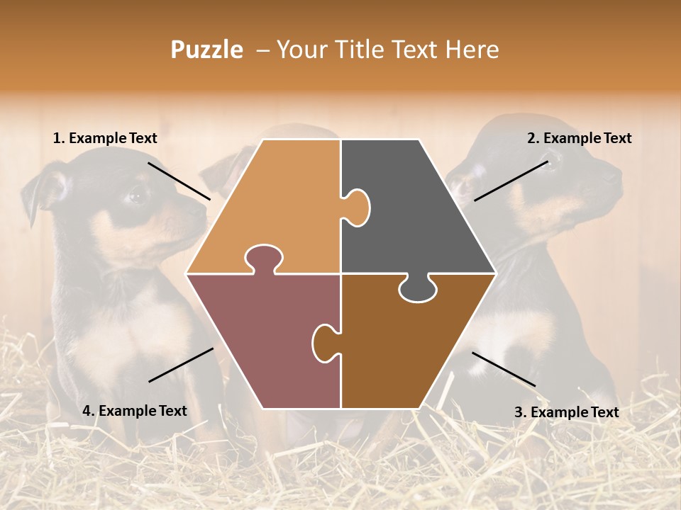 Indoors Ranch Animals PowerPoint Template