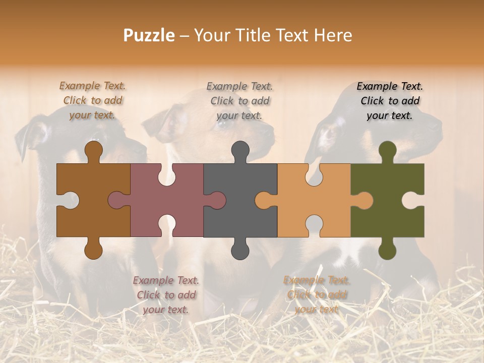 Indoors Ranch Animals PowerPoint Template