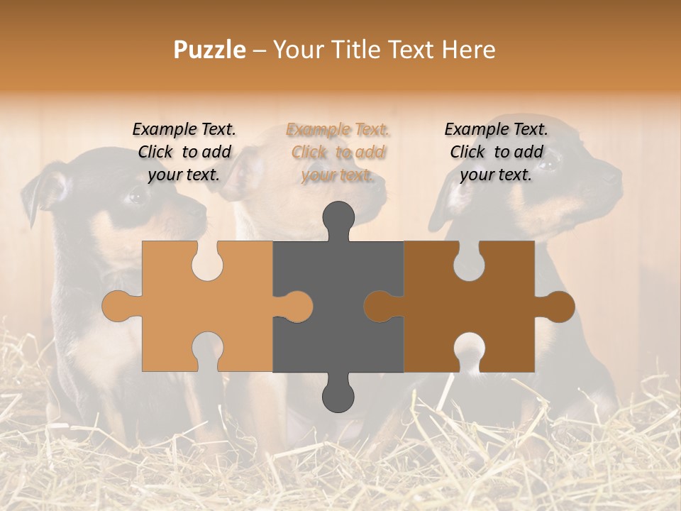 Indoors Ranch Animals PowerPoint Template