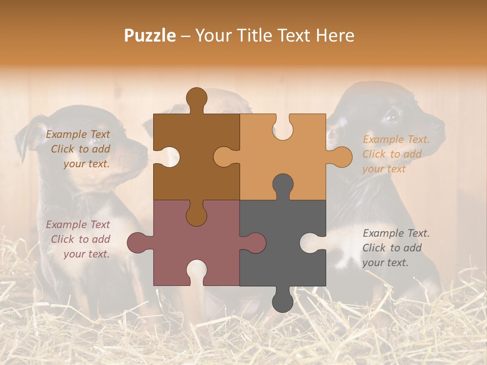 Indoors Ranch Animals PowerPoint Template