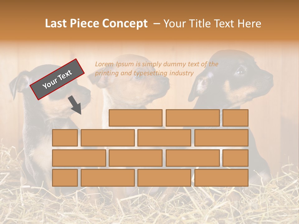 Indoors Ranch Animals PowerPoint Template