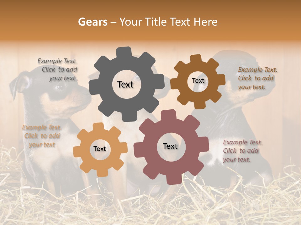 Indoors Ranch Animals PowerPoint Template