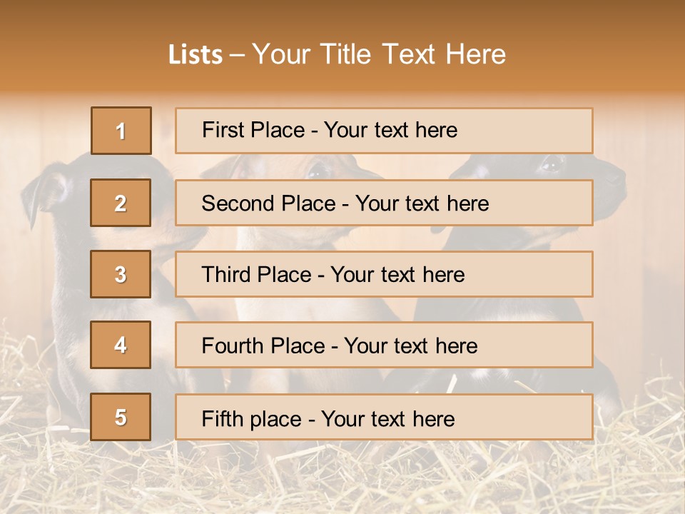 Indoors Ranch Animals PowerPoint Template