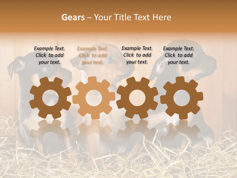 Indoors Ranch Animals PowerPoint Template