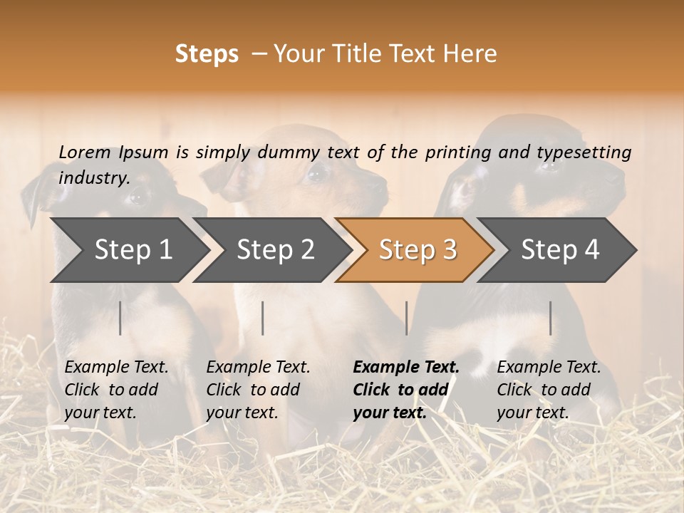 Indoors Ranch Animals PowerPoint Template