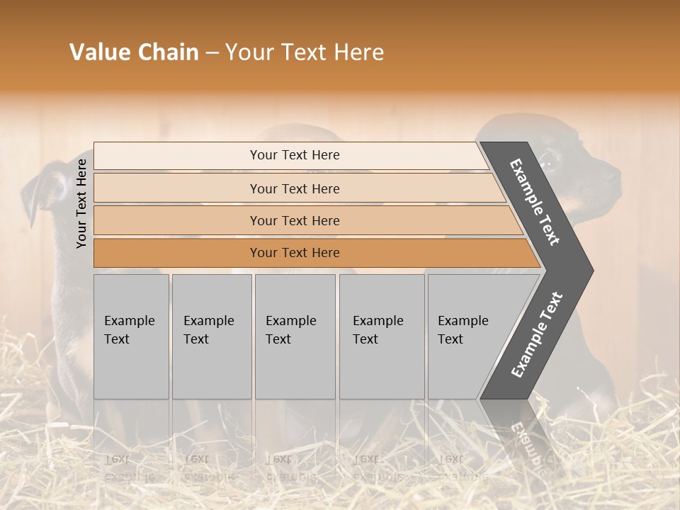 Indoors Ranch Animals PowerPoint Template