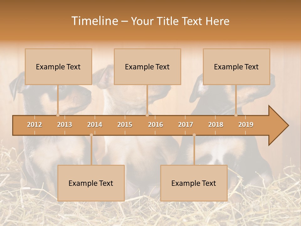 Indoors Ranch Animals PowerPoint Template