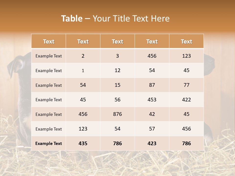 Indoors Ranch Animals PowerPoint Template