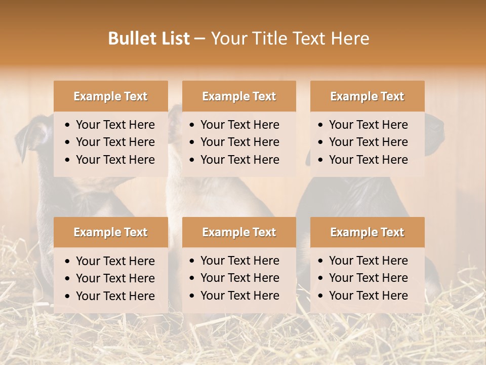 Indoors Ranch Animals PowerPoint Template