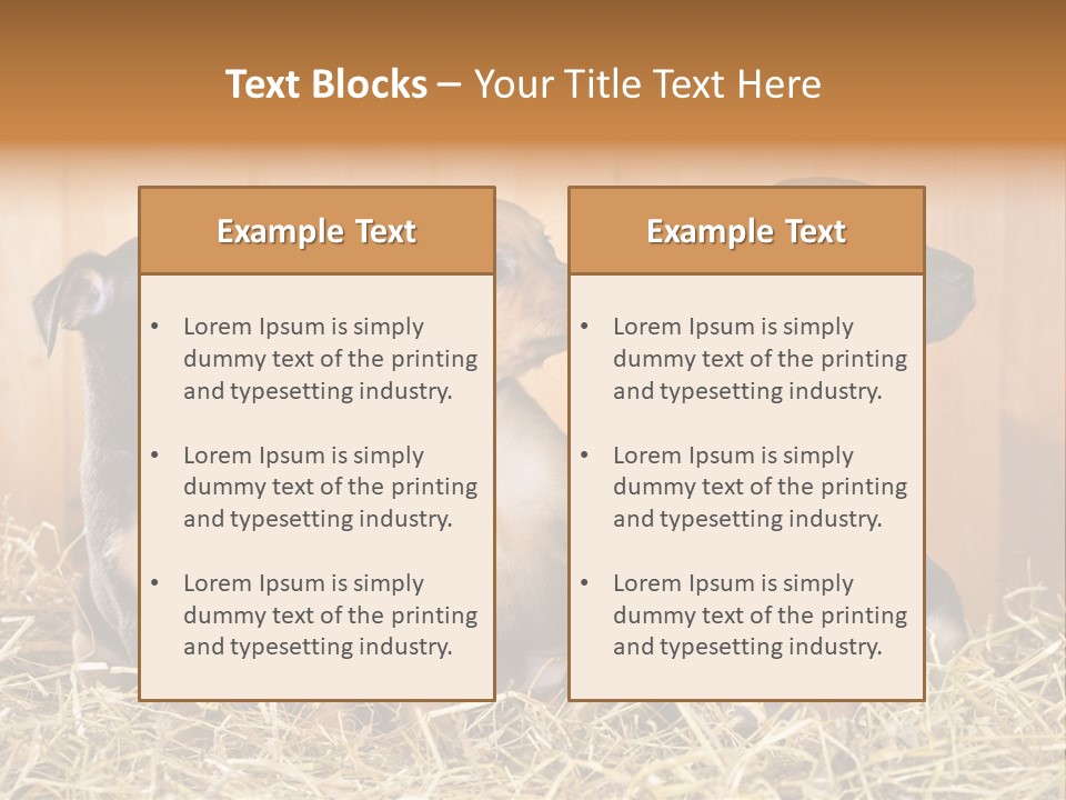 Indoors Ranch Animals PowerPoint Template
