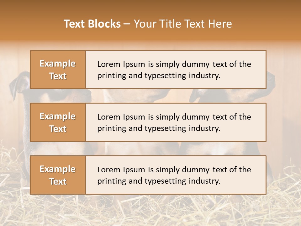 Indoors Ranch Animals PowerPoint Template