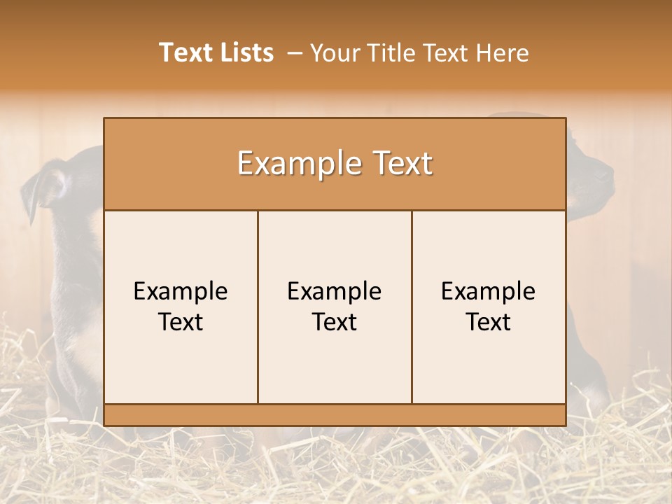 Indoors Ranch Animals PowerPoint Template