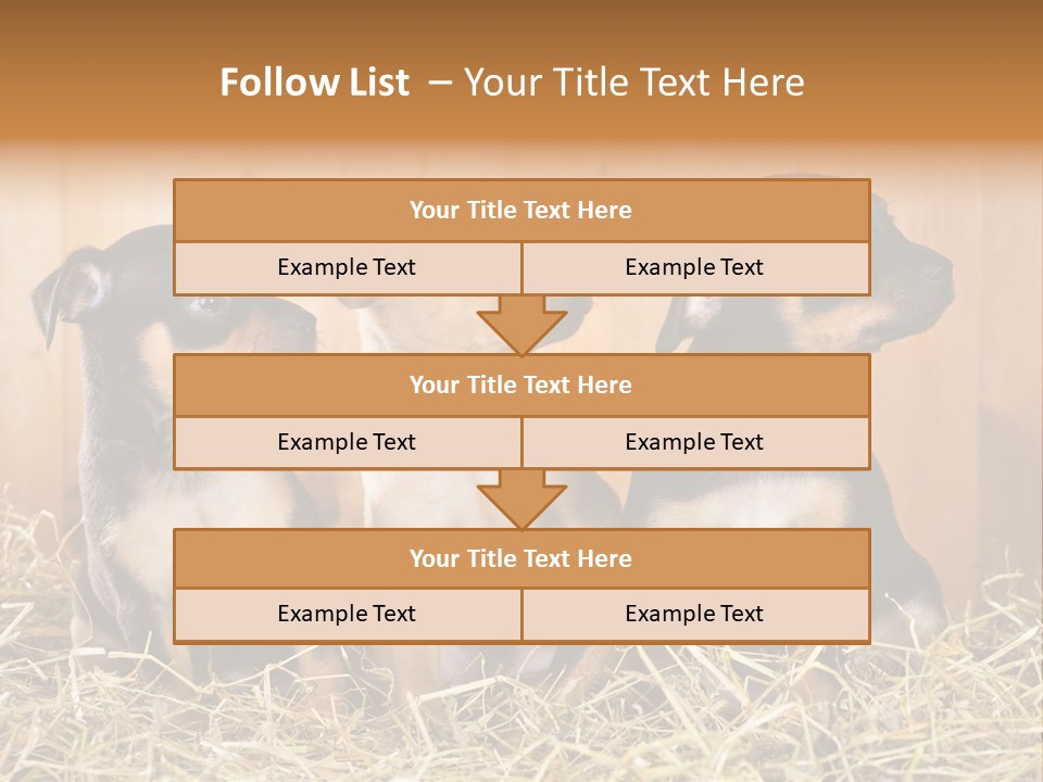 Indoors Ranch Animals PowerPoint Template