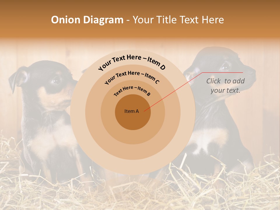 Indoors Ranch Animals PowerPoint Template