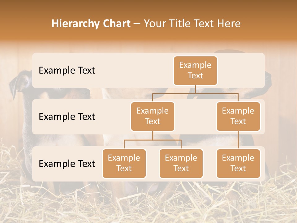 Indoors Ranch Animals PowerPoint Template