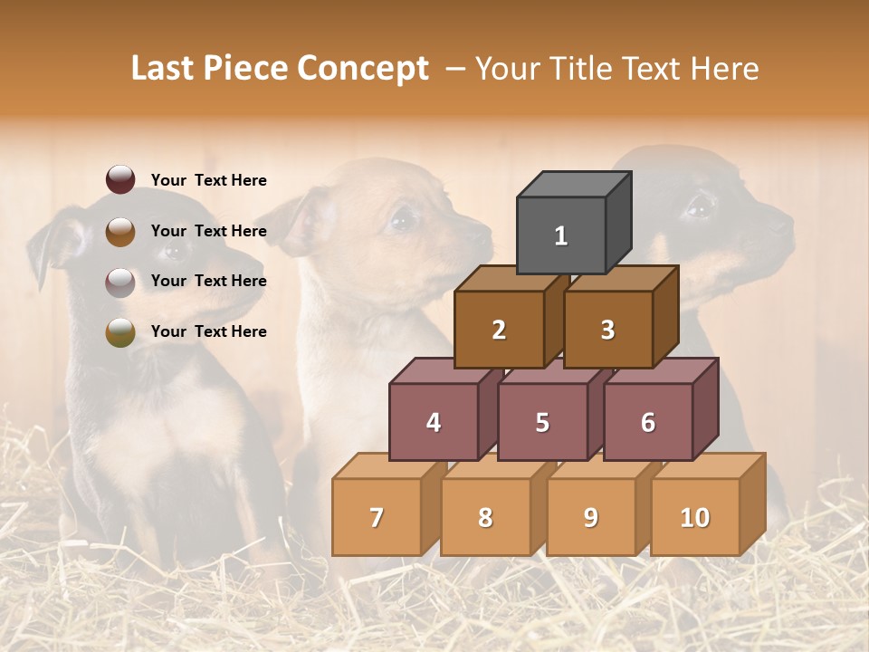 Indoors Ranch Animals PowerPoint Template