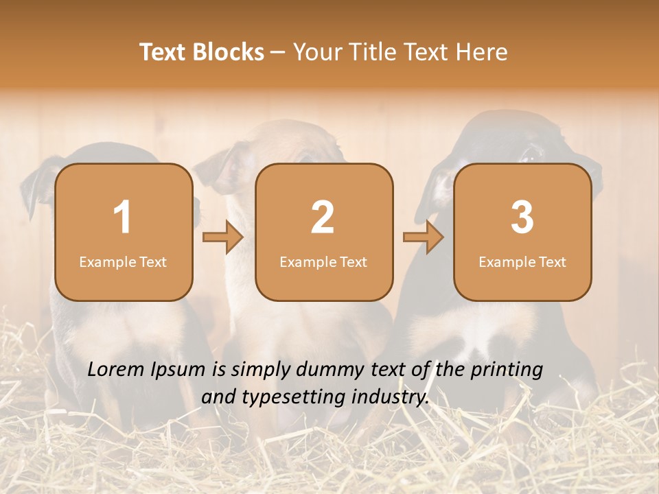 Indoors Ranch Animals PowerPoint Template