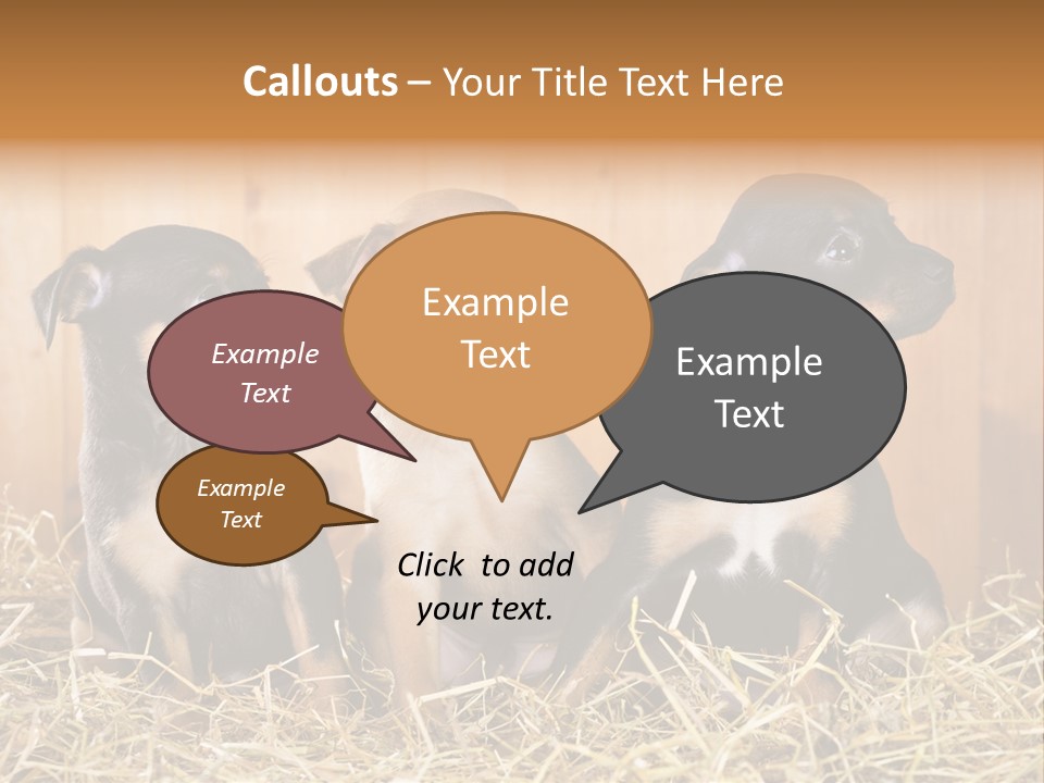 Indoors Ranch Animals PowerPoint Template