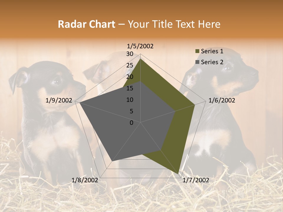 Indoors Ranch Animals PowerPoint Template