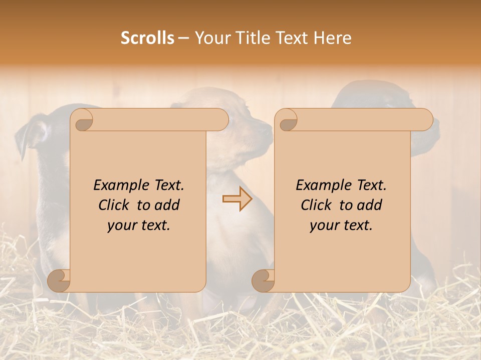 Indoors Ranch Animals PowerPoint Template