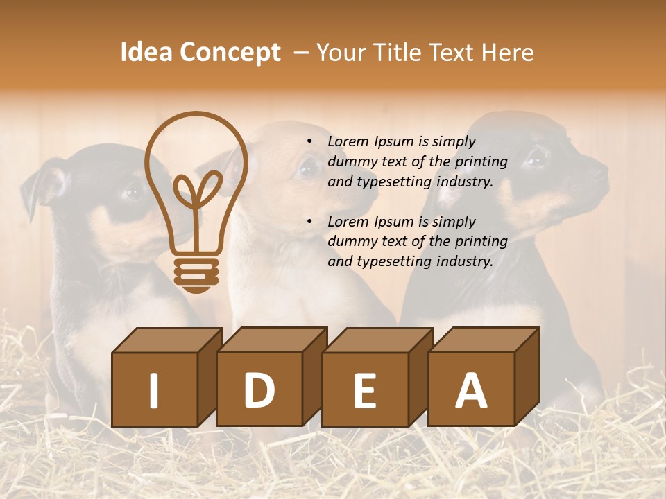 Indoors Ranch Animals PowerPoint Template