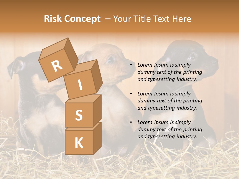 Indoors Ranch Animals PowerPoint Template