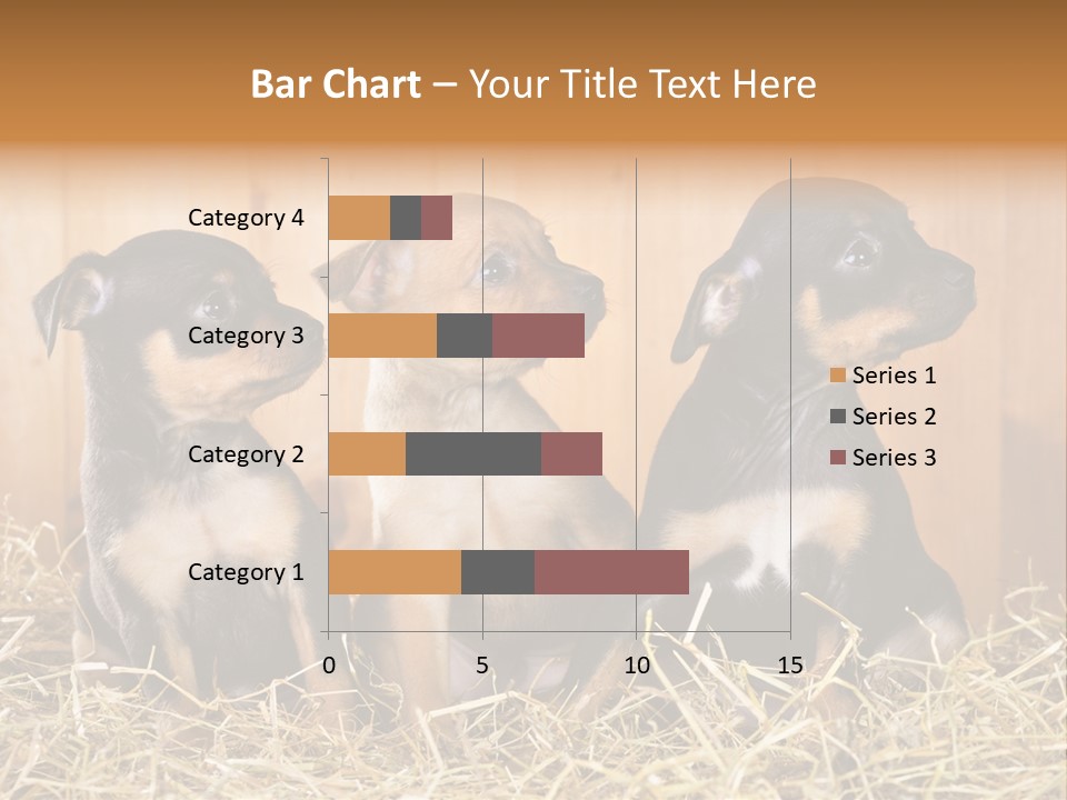 Indoors Ranch Animals PowerPoint Template
