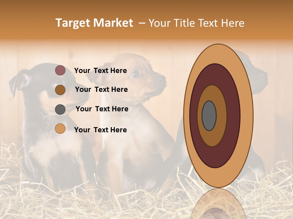 Indoors Ranch Animals PowerPoint Template