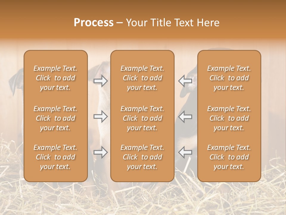 Indoors Ranch Animals PowerPoint Template