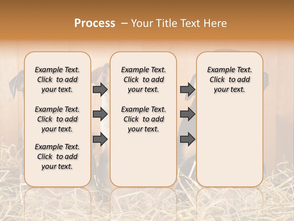 Indoors Ranch Animals PowerPoint Template