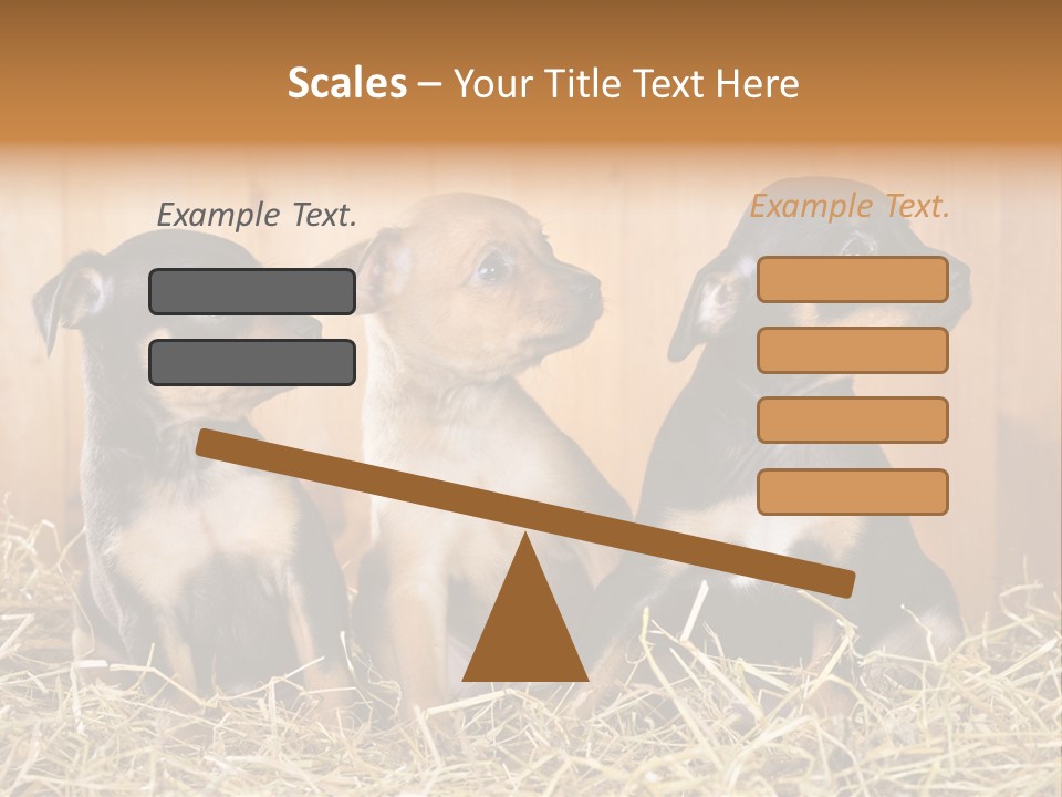 Indoors Ranch Animals PowerPoint Template